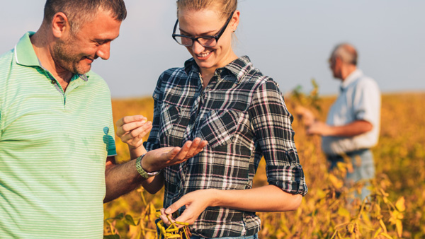 Programme cycle momentum Agtech