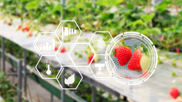 Programme Innov'Agtech